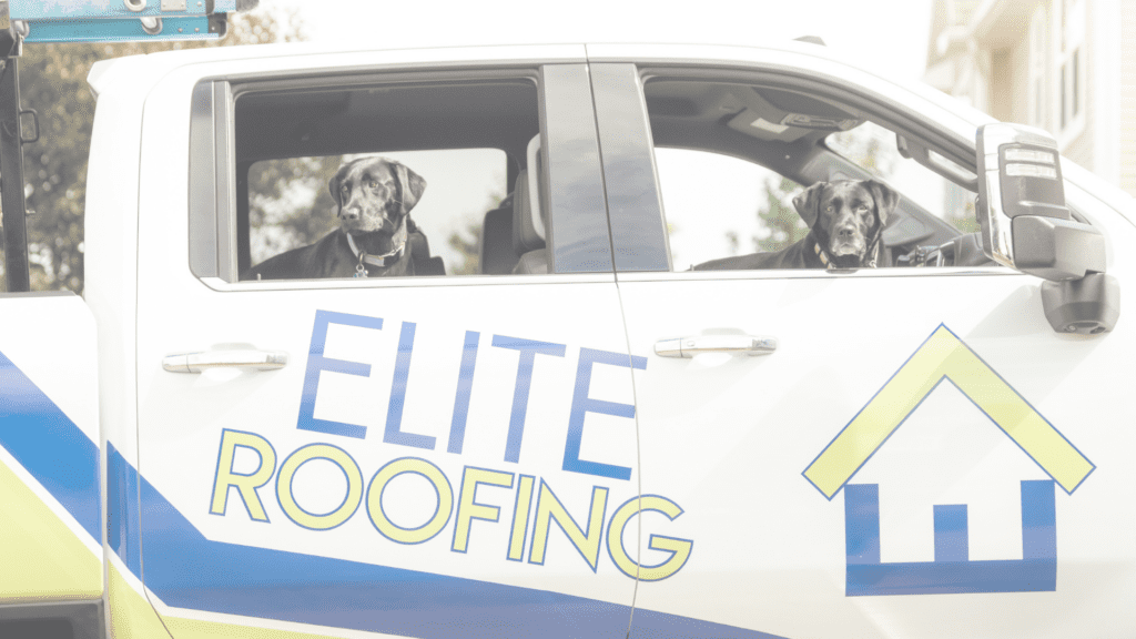 Elite Roofing Dogs in Truck